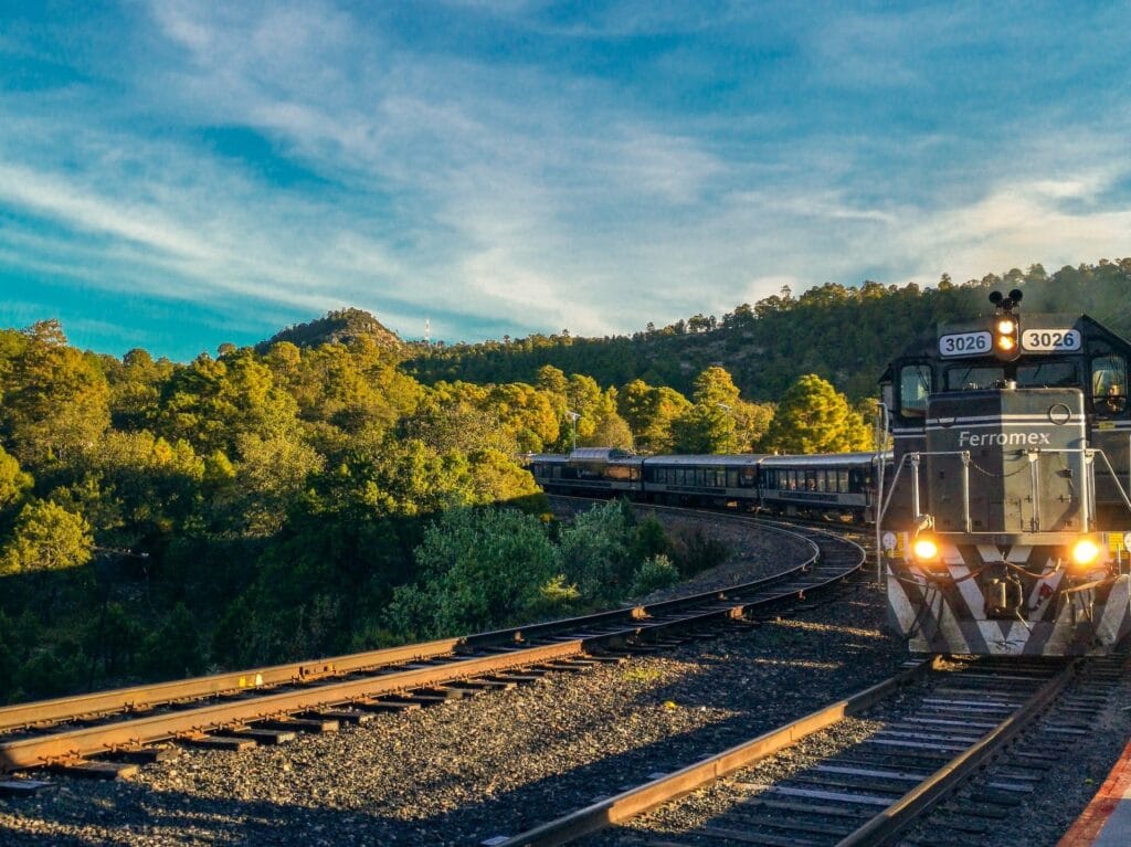 The Chepe Express train traveling through the scenic Copper Canyon in Chihuahua, Mexico, surrounded by pine forests and rugged mountains.