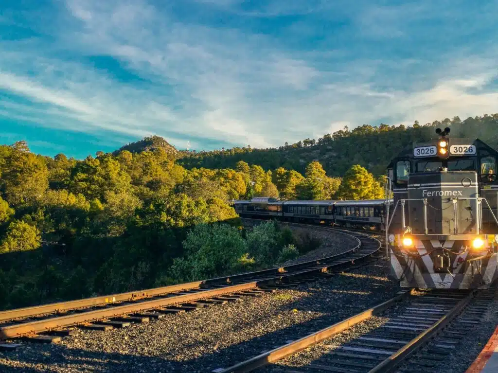 The Chepe Express train traveling through the scenic Copper Canyon in Chihuahua, Mexico, surrounded by pine forests and rugged mountains.